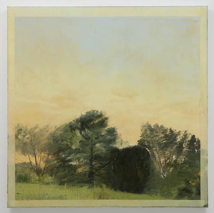 Sylvia Plimack Mangold, “Trees at the Pond” (1983). Oil on linen, 60 × 60 in. Photo: Joerg Lohse. Courtesy Alexander and Bonin, New York.