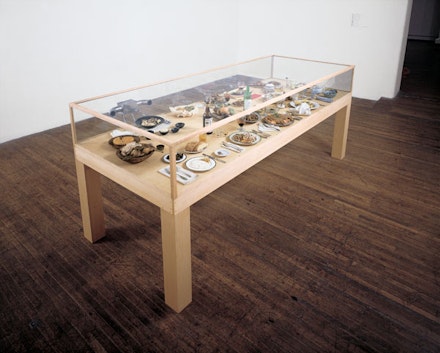 Roxy Paine, “Dinner of the Dictators,” 1993-1995. Freeze-dried food, place settings, glass wood, dehumidifier, 427 1/4 × 118 1/2 × 50 ̋.

