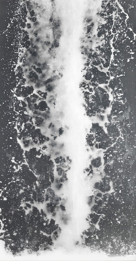 Adam Fuss, <i>LOGOS</i>, 2015. Unique gelatin silver print photogram, 113 x 63 inches. Courtesy Cheim & Read, New York.