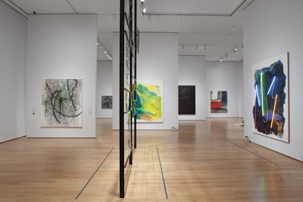 Installation View: <em>The Forever Now: Contemporary Painting in an Atemporal World</em>. The Museum of Modern Art, New York. Photo: John Wran. ©The Museum of Modern Art.