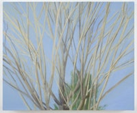 Sylvia Plimack Mangold, “Winter Maple,” (2007). Oil on linen. 20 x 24 in. Photo: Jason Mandella.