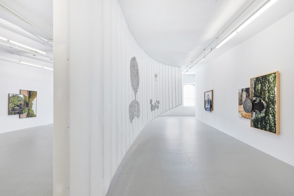 Installation view: <em>Todd Gray: Cartesian Gris Gris</em>, David Lewis, New York, 2019. Courtesy the artist and David Lewis, New York.