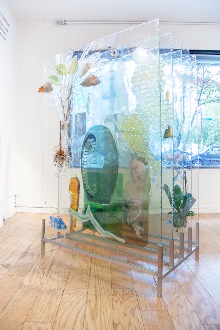Heidi Norton, <em>The Museum Archive (dedicated to Edward Steichen's Delphiniums, MOMA 1936), Version 2</em>, 2019. Glass, resin, plants, beam splitter glass, photo gels, photographic prints and film. Courtesy Elijah Wheat Showroom, New York.