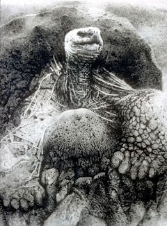 Janet Culbertson, Galapagos Tortoise, 1975. Ink and pastel on rag paper, 90 x 72 inches. Photo: Gary Mamay.