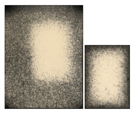 Alison Rossiter, Density 1930s, 2018, Two Gelatin Silver Prints, 13 5/8 x 15 1/2 inches. Courtesy Yossi Milo, New York.