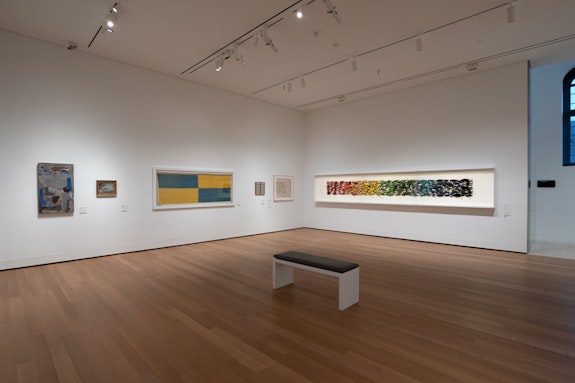 Installation view, <em>James Prosek: Art, Artifact, Artifice</em>, Yale University Art Gallery. Photo: Jessica Smolinski