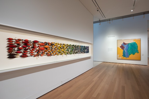 Installation view, <em>James Prosek: Art, Artifact, Artifice</em>, Yale University Art Gallery. Photo: Jessica Smolinski