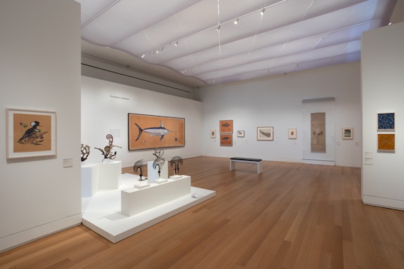 Installation view, <em>James Prosek: Art, Artifact, Artifice</em>, Yale University Art Gallery. Photo: Jessica Smolinski