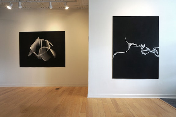 Installation view: <em>Taney Roniger: Never The Same River</em>, Corners Gallery, Ithaca, 2020<em>.</em> Courtesy the artist and Corners Gallery.