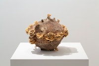 Nour Mobarak, <em>Sphere Study 6 (Old Money)</em>, 2020. Trametes versicolor, wood, 11 1/4 x 12 1/2 x 12 1/2 inches. Courtesy the artist and Miguel Abreu Gallery, New York. Photo: Stephen Faught.