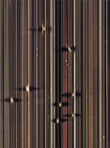 Marco Breuer, detail,