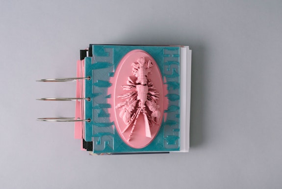 Kristoffer Ørum, <em>Signal Crayfish</em> (2021). Photographed by Sean Davidson.