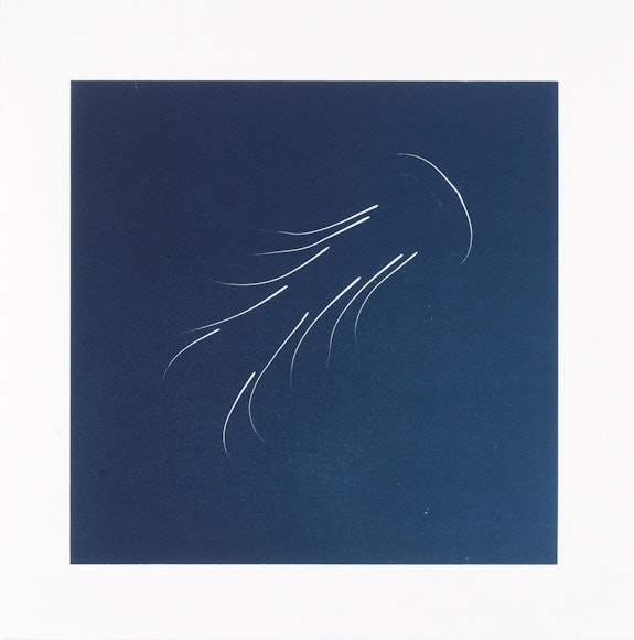 Nina Katchadourian, <em>Whisker Print (2A)</em>, 2013. Whisker stencil monotype on Sunray Satin paper, 11 3/4 x 11 3/4 inches. © Nina Katchadourian. Courtesy Pace Gallery.