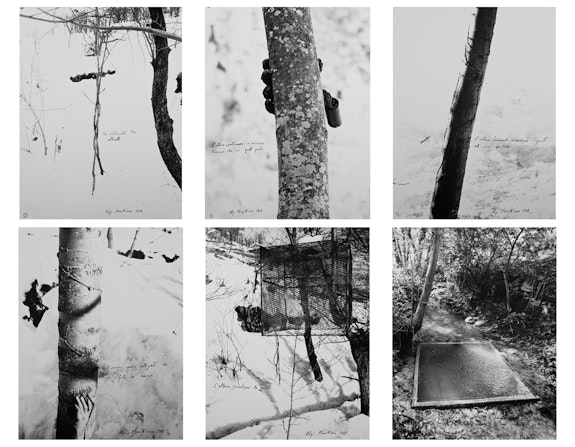 Giuseppe Penone, <em>Alpi Marittime (1-6)</em>, 1968, Set of 6 black and white photographs, each framed, 26 ⅛ x 20 ⅜ in. (66 x 50 cm). Photo © Archivio Penone. Courtesy Marian Goodman Gallery.