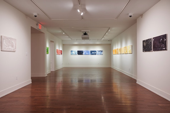 Installation view: <em>William Eric Brown: ColorStatic</em>, The National Arts Club, New York, 2021. Courtesy The National Arts Club/Caleb Miller.