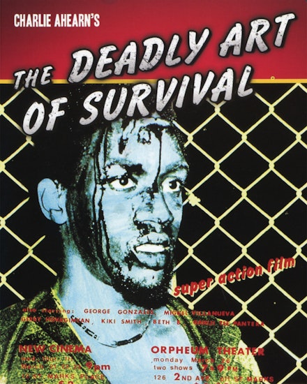 <em>The Deadly Art of Survival </em>movie poster.