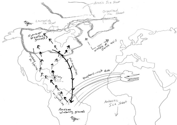 Drawing by David Brooks.