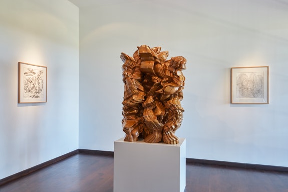 Installation view: <em>Tony Cragg: Sculptures and Works on Paper,</em> The Gallery at Windsor, Vero Beach, Florida, 2023. Courtesy The Gallery at Windsor. Photo: Aric Attas.