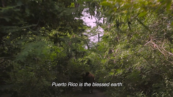 Sofía Córdova, <em>dawn_chorus ii: el niagara en bicicleta,</em> 2018. Two channel video, color, sound, on unique unistrut mount, 105 minutes. Courtesy the artist and Kate Werble Gallery, New York.