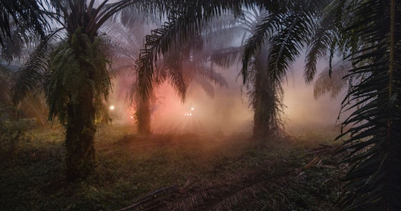 Julian Charrière, <em>An Invitation to Disappear</em>, 2018. Copyright the artist; VG Bild-Kunst, Bonn, Germany.