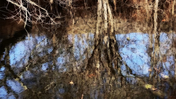 peter campus, <em>four oh two</em>, 2023. Videograph, 8:39 minutes, looped. Courtesy the artist and Cristin Tierney.