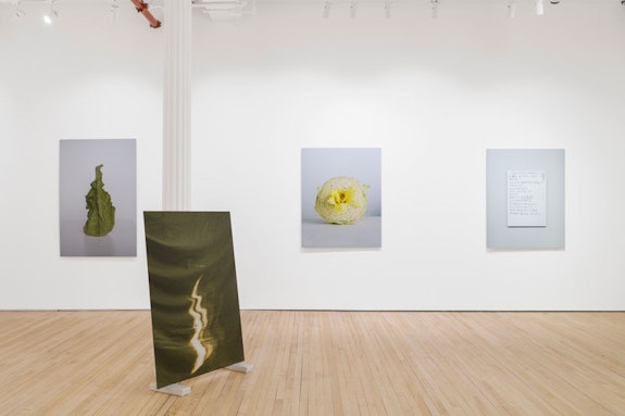 Installation view of <em>Chih-Chien Wang: A Bright Circle</em> at Arsenal Contemporary, New York, 2023. Courtesy the artist and Arsenal Contemporary.