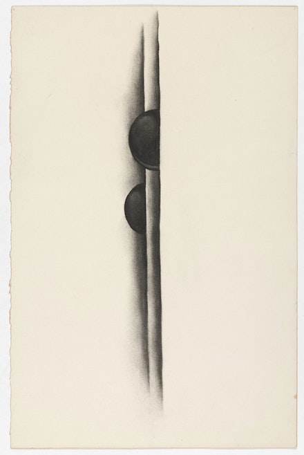 Georgia O’Keeffe, <em>Special No.39</em>, 1919. Charcoal on paper, 19 5/8 x 12 3/4 inches. The Museum of Modern Art, New York. Gift of The Georgia O’Keeffe Foundation, 1995. © 2022 The Museum of Modern Art / Artists Rights Society (ARS), New York.