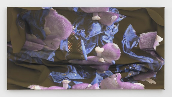 Andrew Ross, <em>Pigs Plaid Cloth</em>, 2023. Archival inkjet print on canvas, 22 x 42 inches. Courtesy the artist and Kai Matsumiya. 