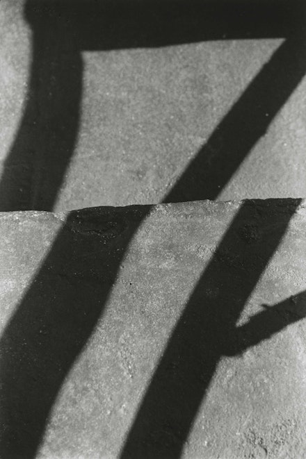 Ellsworth Kelly, <em>Shadows on a Stairway, St. Martin</em>, 1977. Gelatin silver print, 12 7/8 x 8 5/8 inches. © Ellsworth Kelly Foundation. Courtesy Glenstone Museum, Potomac, Maryland.
