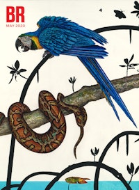 James Prosek, <em>Paradise Lost 1 (Burmese Python and Blue and Yellow Macaw, Everglades)</em> (detail), 2019. Oil and acrylic on panel, 38 1/2 ? 48 1/2 inches. Courtesy the artist and Waqas Wajahat, New York.