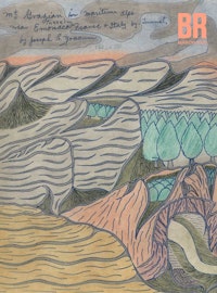 Joseph E. Yoakum, <em>Mt Grazian in Maritime Alps near Emonaco Tunnel France and Italy by Tunnel </em>(detail), ca. mid-1960s (stamped 1958). Black ballpoint pen, blue felt&#8209;tip pen, and colored pencil on paper. 12 x 19 inches. The Museum of Modern Art, New York. Photo: Robert Gerhardt.
